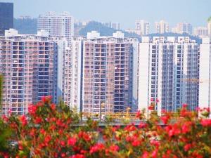 中国金茂：立足一二线核心城市 对2019年信心十足