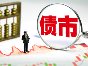 财政部：新增地方政府专项债券发行前 需公开项目预期收益等信息
