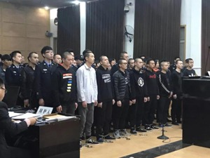 这家公司82个骗子 获得代办信用卡“包装服务费”885万