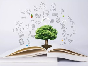 有人在家瞎编几百页，有人找大学生“枪手”...国家对环评乱象下了重手