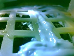 嫦娥四号完成人类首次月面生物实验！月面长出第一株嫩芽