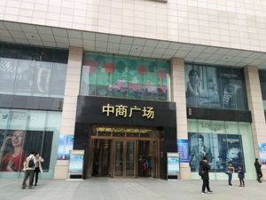 武汉中商卖壳背后  控股股东解决同业竞争期限逼近