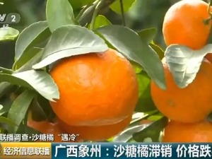 这种家中常备的水果，价格暴跌！从10元一斤到1块6，从惜售到急售…