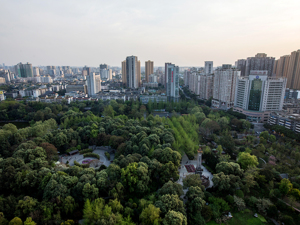 湿地日：成都平原越冬水鸟数量翻番 我国西部湿地生态向好