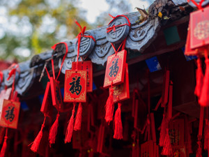五洲同庆中国传统佳节，多国政要向中国人民拜年