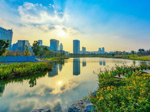 英媒关注成都“造绿”：在公园内建城市 而非在城市中建公园