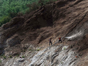 去年1.5万人因破坏环境资源遭批捕 积极赔偿并修复可获从轻量刑