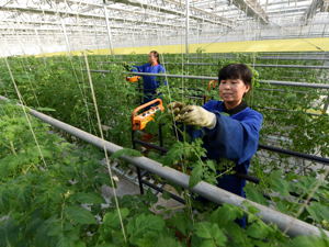 一号文件30条干货看这里：深化农村土改、起草宅基地使用条例、建成8亿亩高标准农田、实施大豆和奶业振兴……