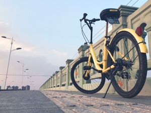 法院判决书：ofo被判赔天津飞鸽货款及违约金8000余万