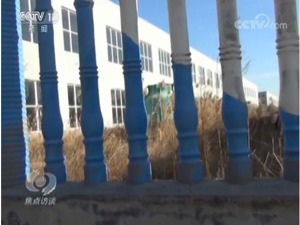 企业已停产却还在填报统计数据 猫腻在哪？