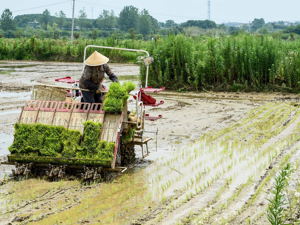 全国人大常委会组成人员热议脱贫攻坚：用产业、金融、土改一整套机制克服返贫问题