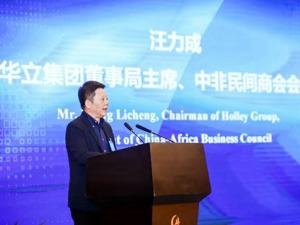 华立集团掌门人汪力成：赴非投资迎机遇期 国内企业“出海”应扬长避短