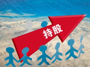 法国荷兰就航空联盟持股风波讲和 兼顾两国利益
