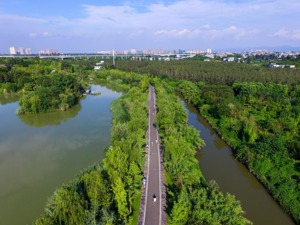 这座城，想低调都难