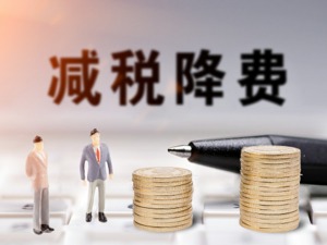 新华时评：把减税降费这件大事办成办好