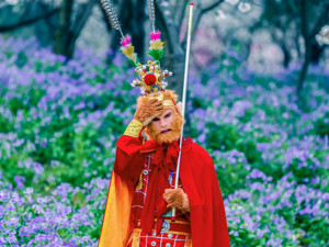 股价飙升140%，券商一哥罕见祭出“卖出”评级利剑，疯狂的中国人保能脱离地心引力吗？