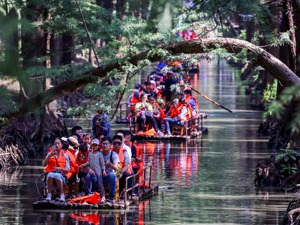 文化和旅游部部长雒树刚：对A级景区和星级酒店进行动态管理 健全退出机制