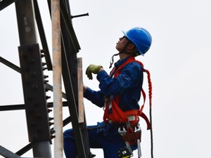国资委主任肖亚庆：央企专业化整合 还需要更多的“铁塔公司”