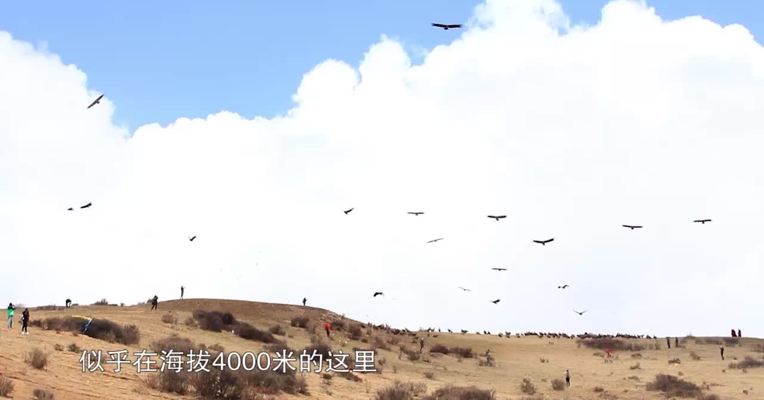  “和谐成都，包容开放，大美天府！”