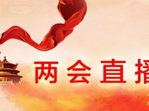 【回放】十三届全国人大二次会议第四次全体会议