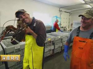 这个小镇卖海鲜，一年卖出1亿美元！中国人“贡献”最多！
