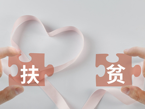 中国扶贫基金会副秘书长丁亚冬：未来将多方面助力雅安石棉县产业扶贫