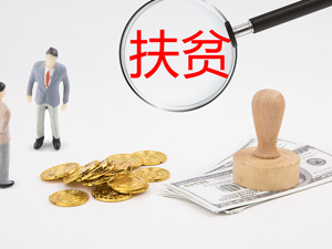 吉利控股集团社会责任部长叶万芳：近两年已投入4000万元参与消费扶贫