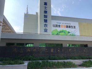 郭台铭亲自卖番石榴 富士康迈出农业互联网第一步？