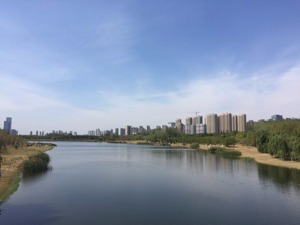 50家房企合肥“抢”地：6宗地全部高溢价成交   共揽金124亿  