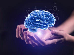 谁还不是个宝宝呢？科学家证实大脑要到30岁才成熟