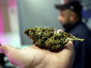 【一图看懂】工业大麻资本热，为何？