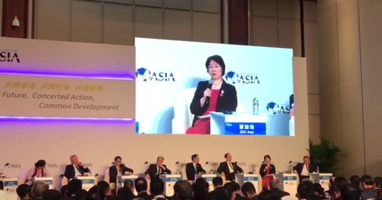 视频丨财政部副部长邹加怡：一带一路，是我们提供的一个国际发展的合作平台