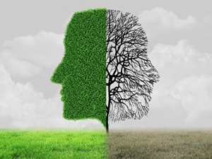 投资，我们应该拥有怎样的心态？——道达投资手记