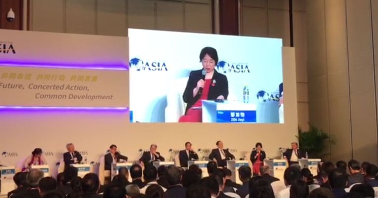视频丨财政部副部长邹加怡：一带一路是一个开放的倡议
