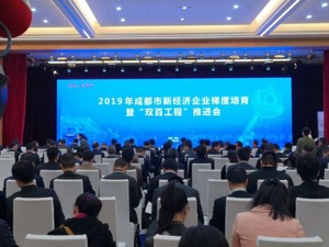 成都新经济怎么走？市长罗强：宁做逆风而行的牛，不做迎风口上的猪