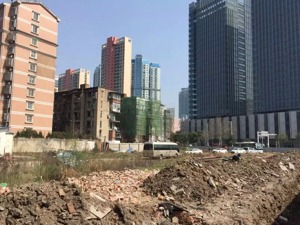 从莲藕汤到摩天楼：武汉餐饮航母拖不动地产野心