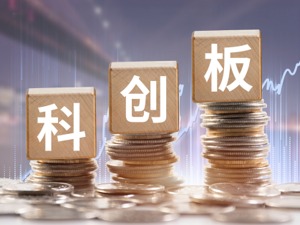 6家公司获得科创板“入场券” 热门半导体股“晋级”（附影子股）