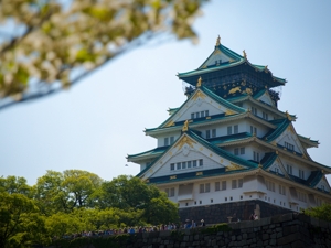 日媒：日本新年号“令和”在中国已被注册为酒类商标