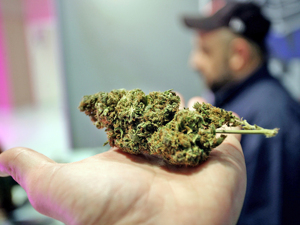 拟溢价15倍控股工业大麻公司 诚志股份再收关注函
