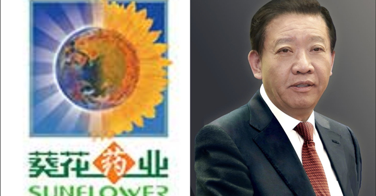 视频丨原董事长关彦斌被爆涉嫌故意杀人 葵花药业股价应声下跌