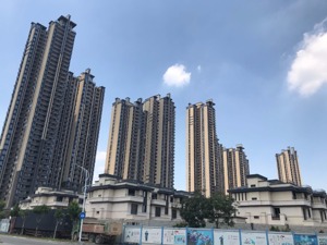 厦门：首个出台“限售令”城市价跌量增待“解禁”