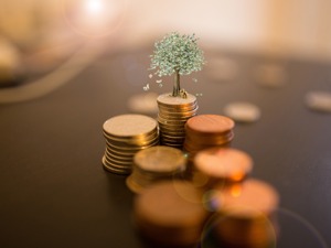 视觉中国遭数家基金公司下调估值 多数给了两个跌停