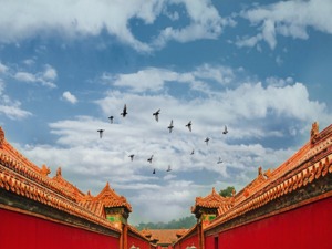5000多家博物馆 为什么只出了一个单霁翔？