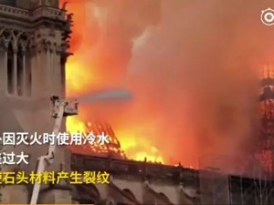 捐款就能进入巴黎圣母院纪念墙？醒醒，警方说了是假的！