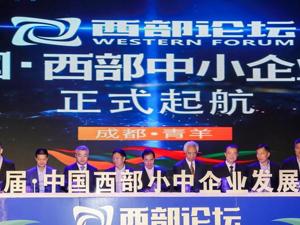 中共中央党校教授姜平：中小企业须技术、产品、品牌“三管齐下”