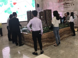 实探深圳公寓市场：8000万元豪宅开盘秒光  中间价位却“赔钱赚吆喝”