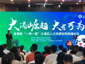 金青新“一带一路”大港区着力构建人力资源协同发展高地