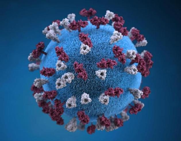 全球多地暴发大规模麻疹疫情为何麻疹病毒会卷土重来