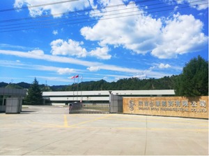 延安必康：实际盈利能力稳中有升 长期趋势继续向好
