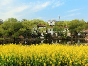 中共中央、国务院发布建立健全城乡融合发展体制机制和政策体系的意见